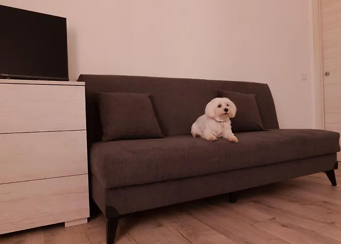 Lucy's Roof Апартаменты *